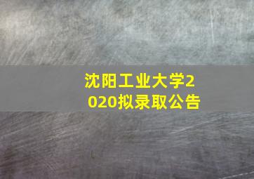 沈阳工业大学2020拟录取公告