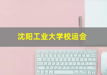 沈阳工业大学校运会