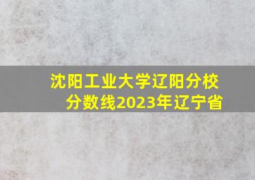 沈阳工业大学辽阳分校分数线2023年辽宁省