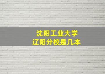 沈阳工业大学辽阳分校是几本