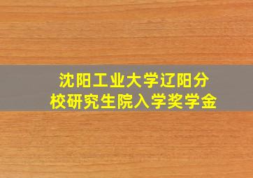 沈阳工业大学辽阳分校研究生院入学奖学金