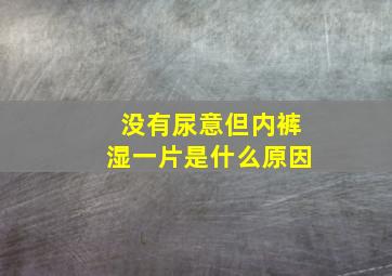 没有尿意但内裤湿一片是什么原因