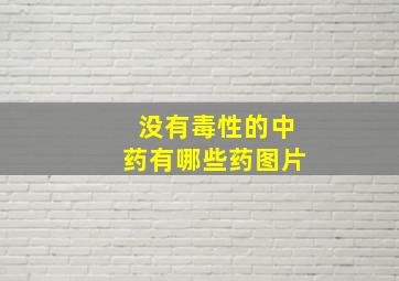 没有毒性的中药有哪些药图片