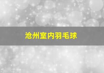 沧州室内羽毛球