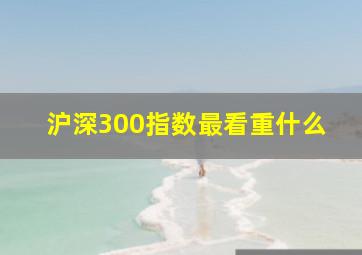 沪深300指数最看重什么