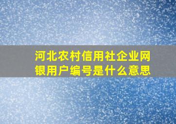 河北农村信用社企业网银用户编号是什么意思