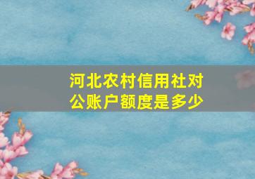 河北农村信用社对公账户额度是多少