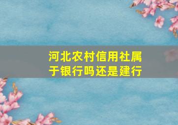 河北农村信用社属于银行吗还是建行