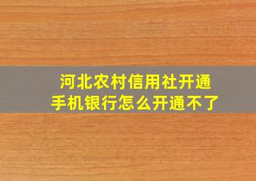 河北农村信用社开通手机银行怎么开通不了