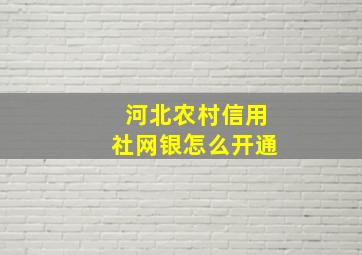 河北农村信用社网银怎么开通