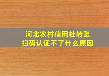 河北农村信用社转账扫码认证不了什么原因