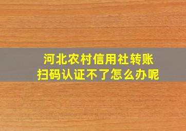 河北农村信用社转账扫码认证不了怎么办呢