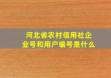 河北省农村信用社企业号和用户编号是什么