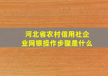 河北省农村信用社企业网银操作步骤是什么