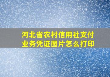 河北省农村信用社支付业务凭证图片怎么打印