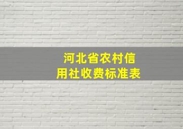 河北省农村信用社收费标准表