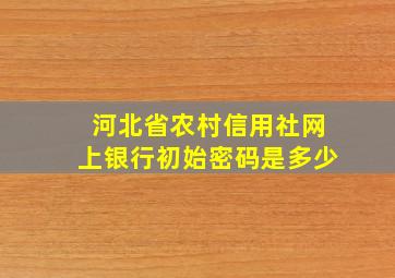 河北省农村信用社网上银行初始密码是多少