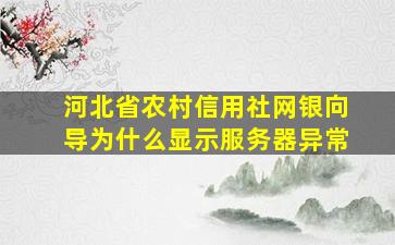 河北省农村信用社网银向导为什么显示服务器异常