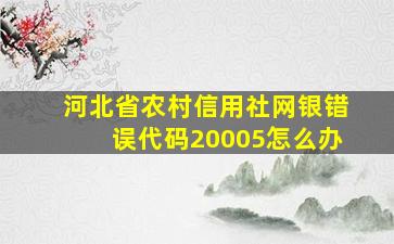 河北省农村信用社网银错误代码20005怎么办