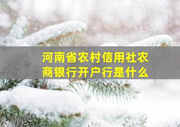 河南省农村信用社农商银行开户行是什么