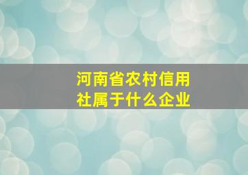 河南省农村信用社属于什么企业