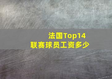 法国Top14联赛球员工资多少