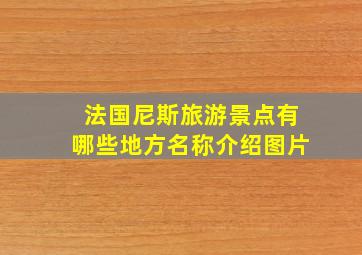 法国尼斯旅游景点有哪些地方名称介绍图片