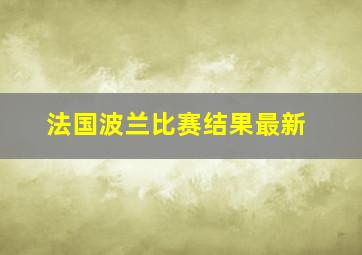 法国波兰比赛结果最新