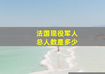 法国现役军人总人数是多少