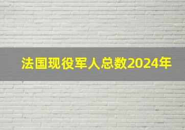 法国现役军人总数2024年