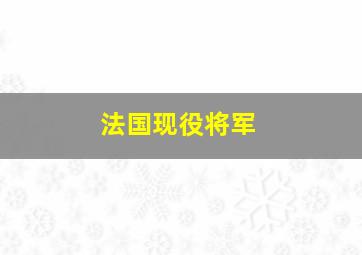 法国现役将军