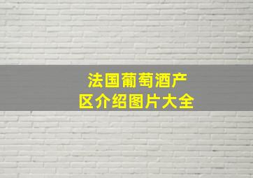 法国葡萄酒产区介绍图片大全