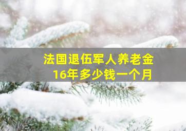 法国退伍军人养老金16年多少钱一个月