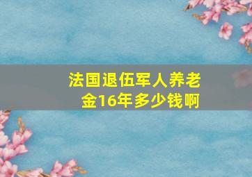 法国退伍军人养老金16年多少钱啊