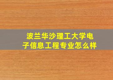 波兰华沙理工大学电子信息工程专业怎么样