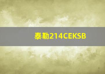 泰勒214CEKSB