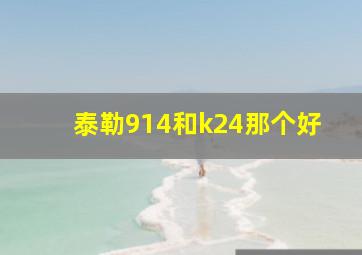 泰勒914和k24那个好