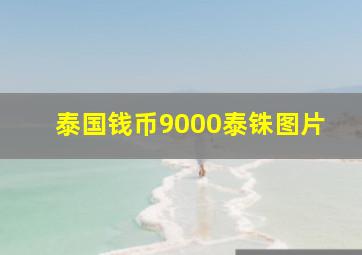 泰国钱币9000泰铢图片