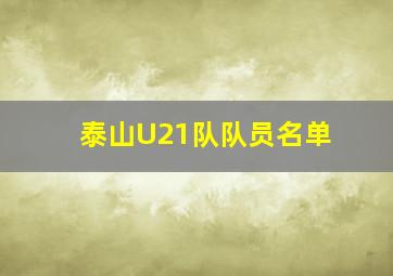 泰山U21队队员名单