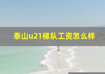 泰山u21梯队工资怎么样