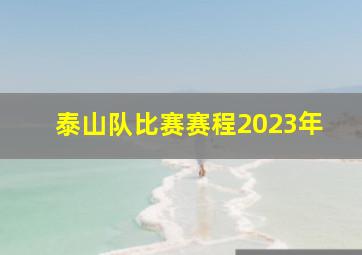 泰山队比赛赛程2023年