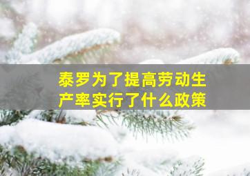 泰罗为了提高劳动生产率实行了什么政策