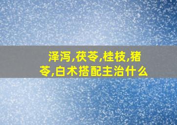 泽泻,茯苓,桂枝,猪苓,白术搭配主治什么