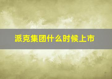 派克集团什么时候上市