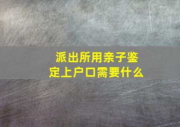 派出所用亲子鉴定上户口需要什么