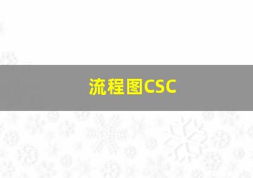 流程图CSC