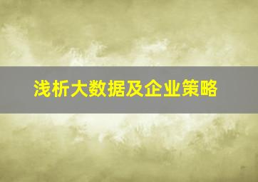 浅析大数据及企业策略