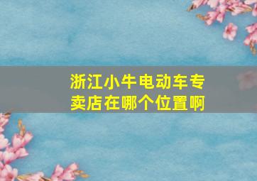 浙江小牛电动车专卖店在哪个位置啊