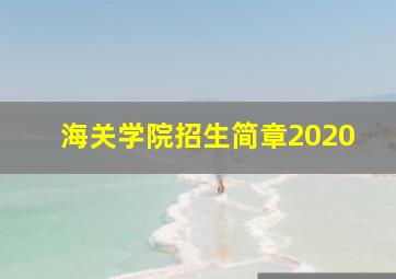 海关学院招生简章2020