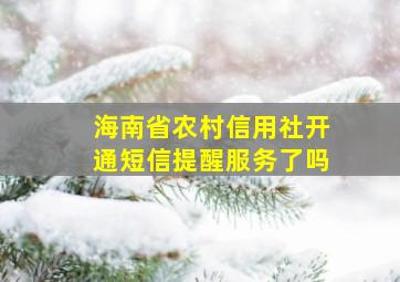 海南省农村信用社开通短信提醒服务了吗